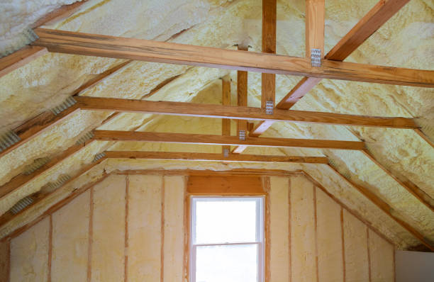 Best Insulation Inspection Services  in Ogallala, NE