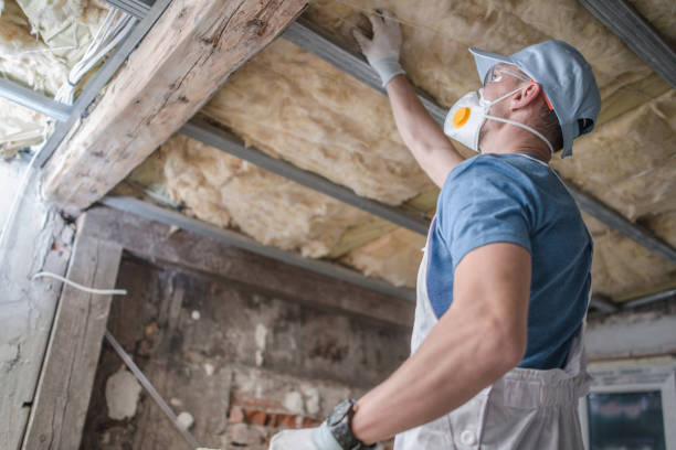 Best Blown-in Insulation  in Ogallala, NE
